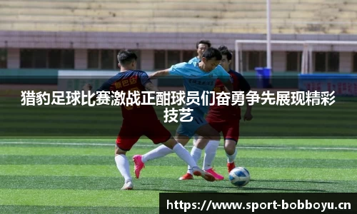 猎豹足球比赛激战正酣球员们奋勇争先展现精彩技艺
