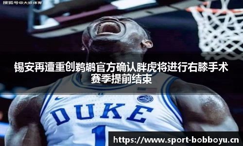 bob博鱼体育平台